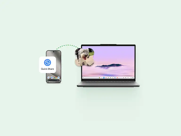 A video of a dog being shared easily from an Pixel phone to a Google Chromebook.